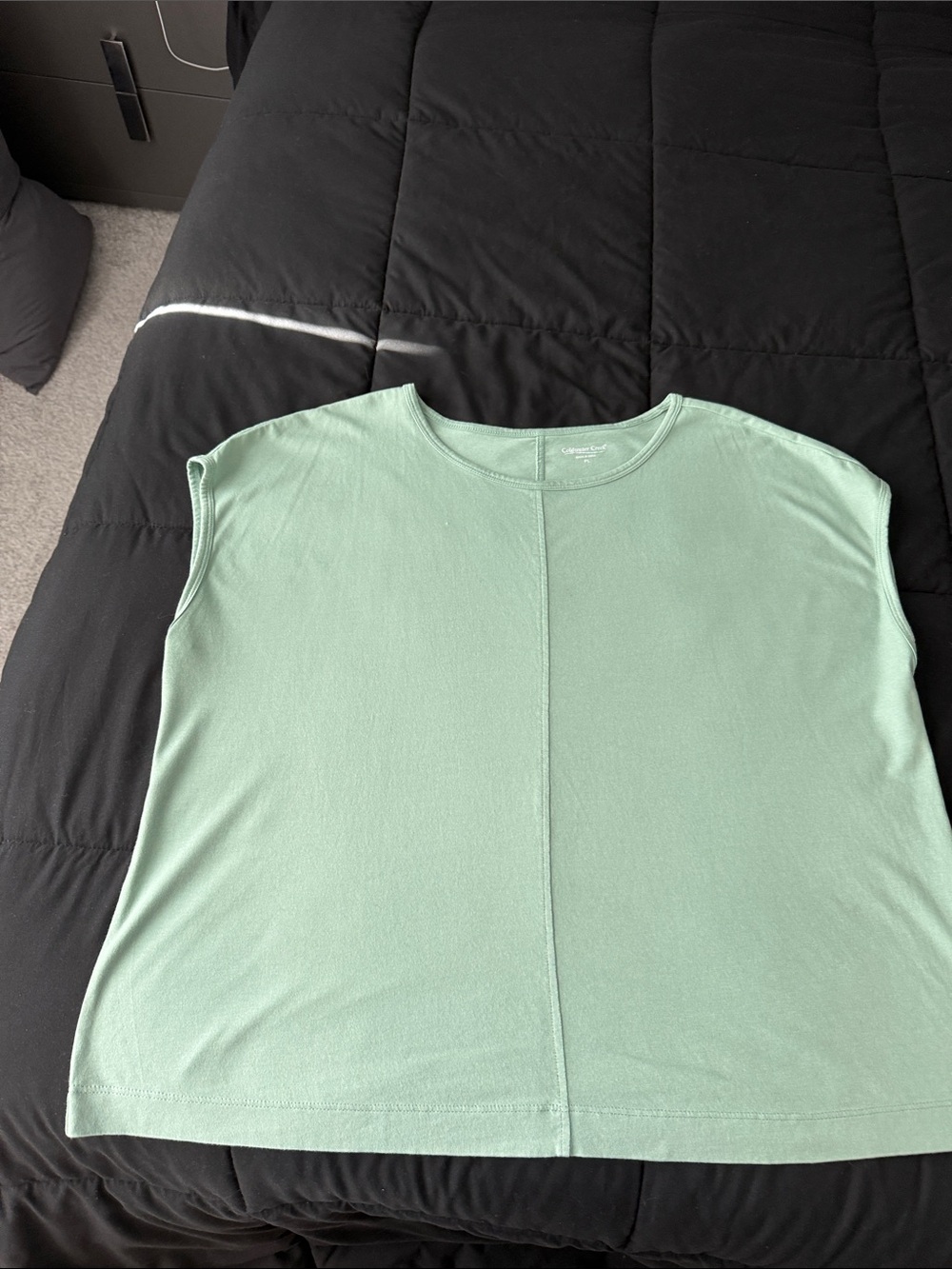 Coldwater Creek Mint Crewneck Cap Sleeve Tee